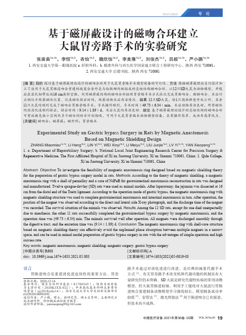 基于磁屏蔽设计的磁吻合环建立大鼠胃旁路手术的实验研究