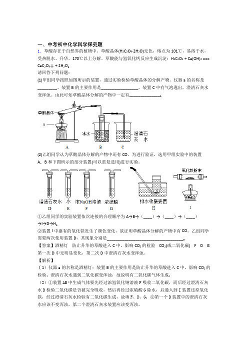 2020-2021备战中考化学探究题-经典压轴题含答案