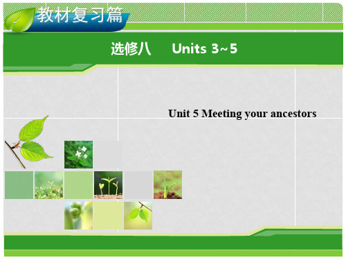 高考英语一轮复习 Unit 5 Meeting your ancestors指导课件 新人教版选修8