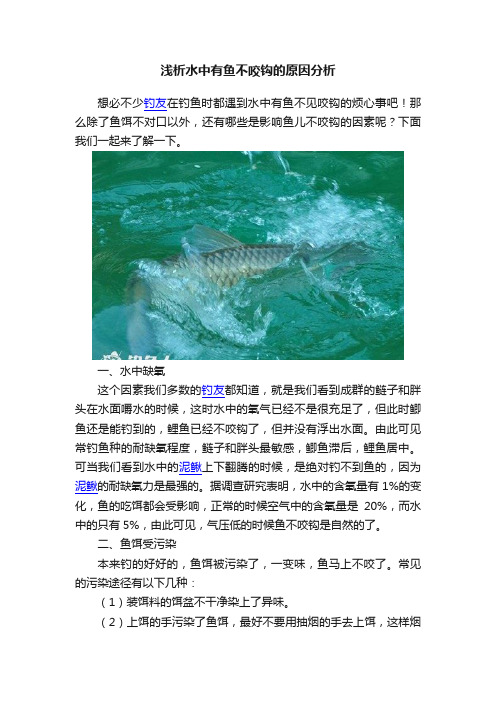 浅析水中有鱼不咬钩的原因分析