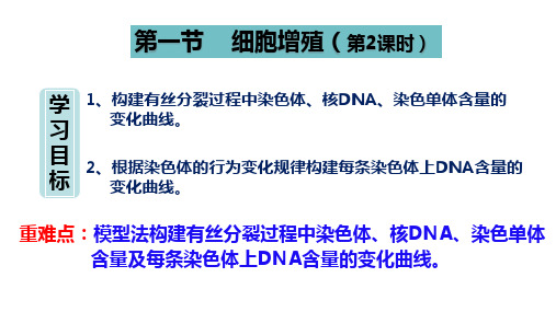 4.1.2 细胞增殖-高一生物课件(苏教版2019必修1)