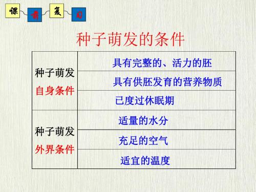 4.1.4种子的萌发(第二课时种子的萌发过程)(济南版)