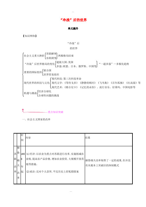 新编北师大版九年级历史下册第五单元“冷战”后的世界单元提升练习