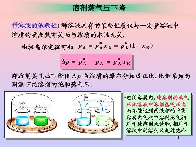 溶剂蒸气压下降