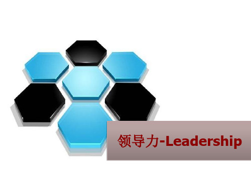 领导力-Leadership