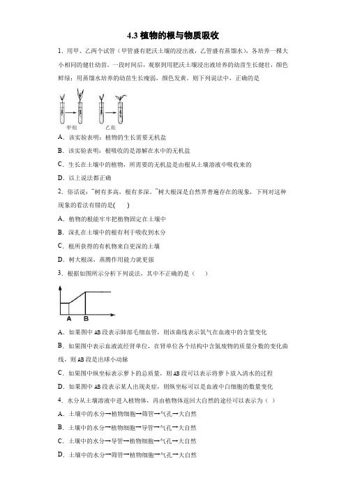 植物的根与物质吸收(同步培优练习)八年级科学下册 