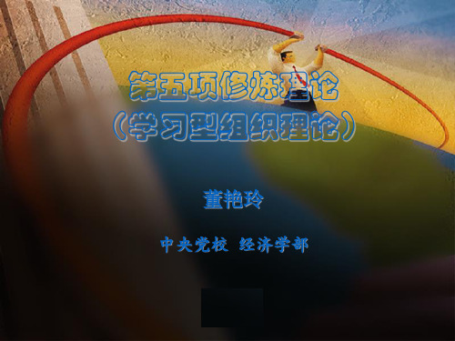 2010第五项修炼