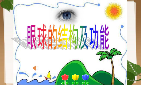 初中生物七年级《眼球的结构及功能》公开课优秀课件