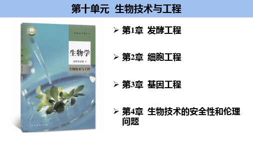 高三生物一轮复习选择性必修3传统发酵技术及发酵工程的应用