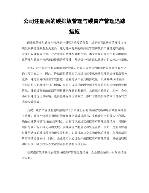 公司注册后的碳排放管理与碳资产管理追踪措施