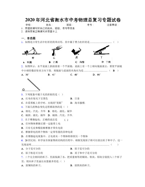 2020年河北省衡水市中考物理总复习专题试卷附解析