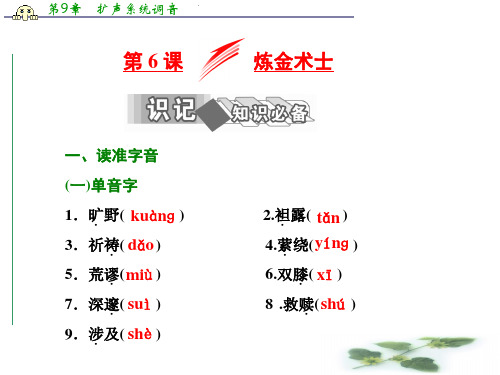 高中语文人教选修《外国小说欣赏》课件：第三单元 第6课 炼金术士