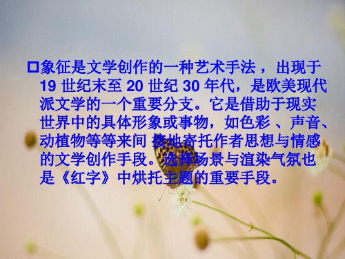 红字场景的象征意义共24页