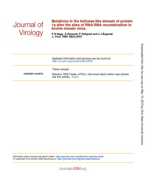 Mutations in the Helicase-Like Domain of Protein 1a Alter the Sites of RNA-RNA Recombination in BMV