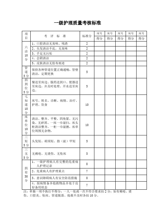 一级护理质量考核标准