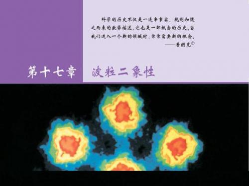 人教版物理精品系列：选修3-5 17.1 能量量子化 课件