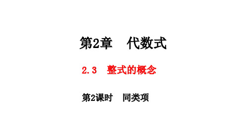 湘教版数学七年级上册2.3 整式的概念 第2课时 同类项课件(共26张PPT)