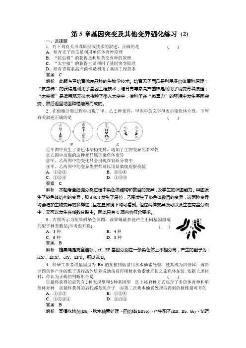 第5章基因突变及其他变异强化练习_2(人教版必修2)