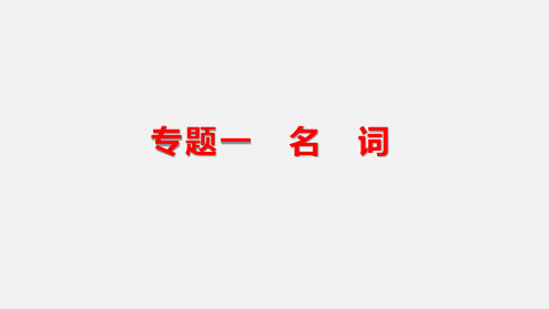 2025年中考英语二轮复习语法突破课件：专题一名词