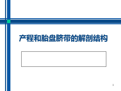 产程和胎盘脐带的解剖结构(PPT课件)