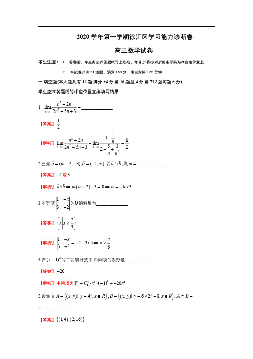 2020 学年第一学期徐汇区学习能力诊断卷 高三数学试卷 (解析版)