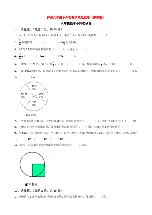 泸州六年级小升初数学模拟试卷(带答案)