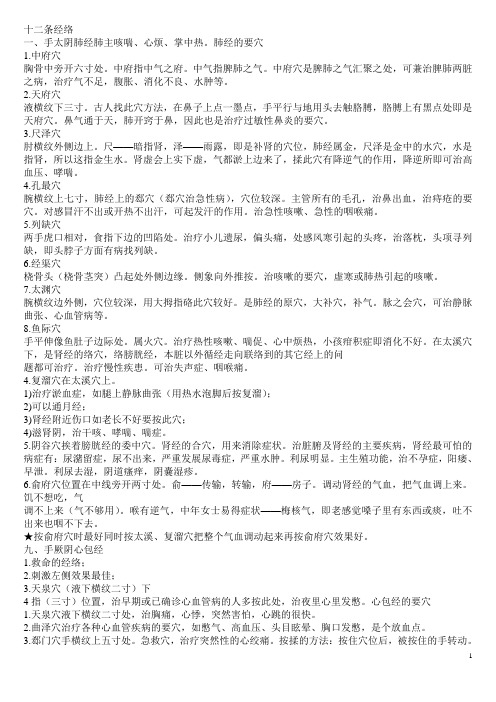 十二条经络