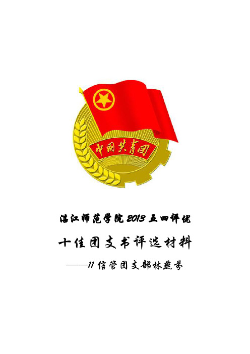 十佳团支书评选材料