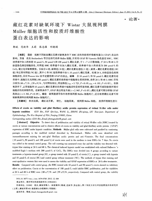 藏红花素对缺氧环境下Wistar大鼠视网膜Muller细胞活性和胶质纤维酸性蛋白表达的影响