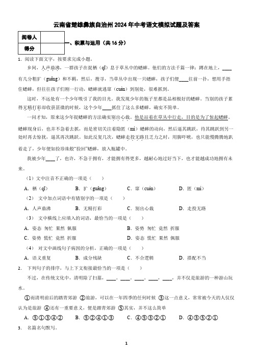 云南省楚雄彝族自治州2024年中考语文模拟试题及答案2