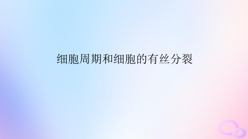 2024版新教材高考生物全程一轮总复习第四单元细胞的生命历程课堂互动探究案1细胞周期和细胞的有丝分裂