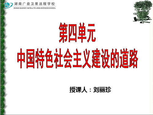 【湖南师大附中内部资料】高中历史新课标总复习课件：高三历史(第11、12课中国特色社会主义建设的道路)