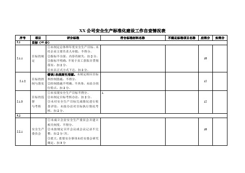 XX水电标准化达级自查表