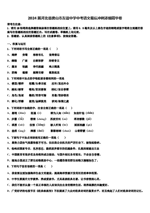 2024届河北省唐山市友谊中学中考语文最后冲刺浓缩精华卷含解析