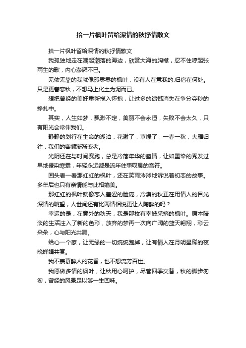 拾一片枫叶留给深情的秋抒情散文