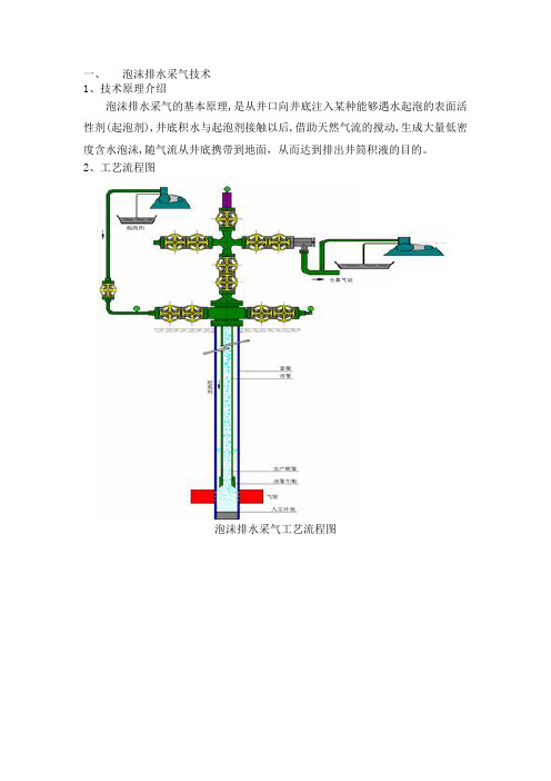 泡沫排水采气工艺技术