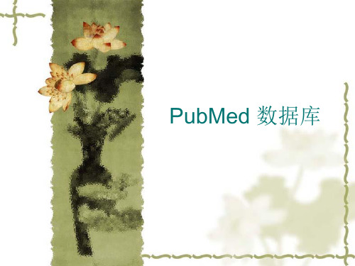 PubMed 数据库