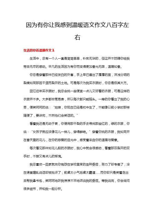 因为有你让我感到温暖语文作文八百字左右