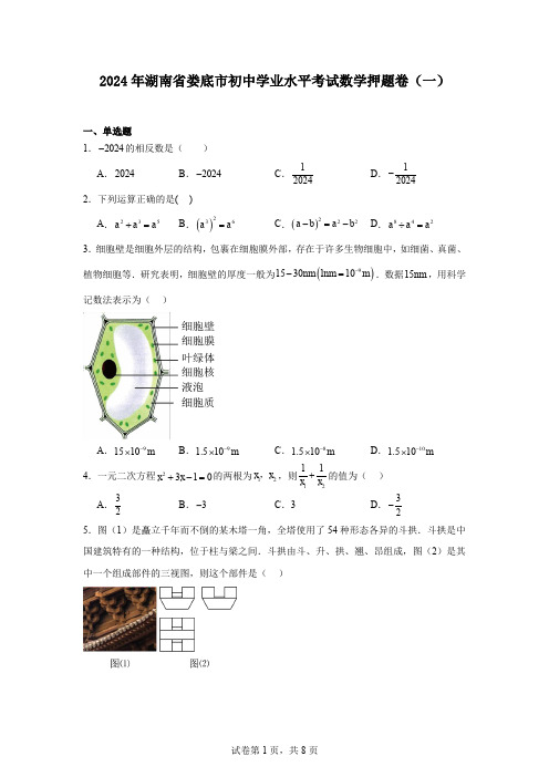 2024年湖南省娄底市初中学业水平考试数学押题卷(一)