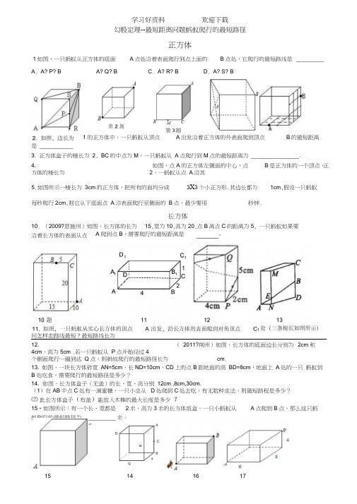 勾股定理最短距离问题蚂蚁爬行的最短路径好