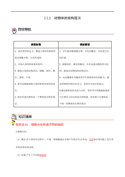 2.2.2 动物体的结构层次(教师版)-2024年秋季七年级上册生物同步讲义(人教版 )