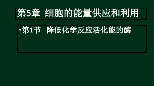 5.1 降低化学反应活化能的酶(课件精讲)高一生物(2019人教版必修1)