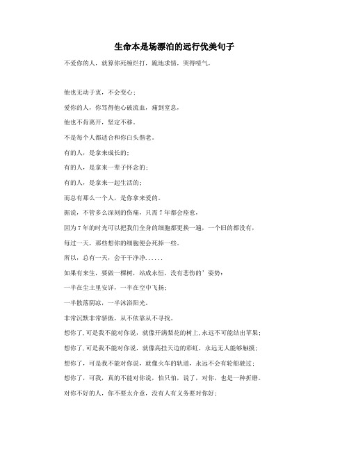 生命本是场漂泊的远行优美句子
