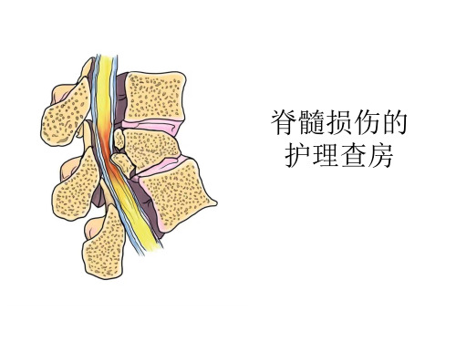 脊髓损伤的护理查房