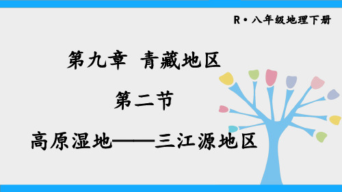 八年级地理下册《高原湿地——三江源地区》教学课件