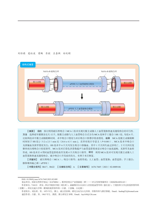 磁压榨吻合技术实现犬腹主动脉人工血管置换快速无缝线吻合