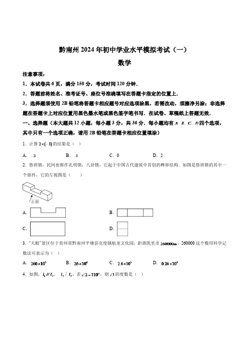 贵州省黔南州2024届九年级下学期中考一模数学试卷(含解析)