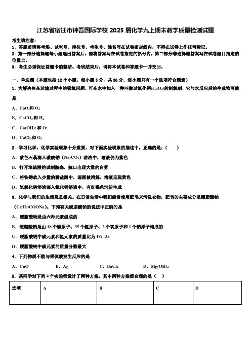 江苏省宿迁市钟吾国际学校2025届化学九上期末教学质量检测试题含解析