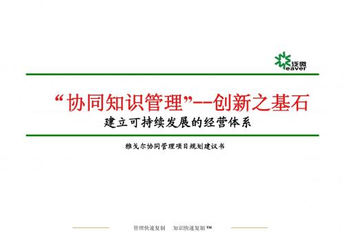 雅戈尔协同知识管理战略规划和实施建议书v15-2009.6.21