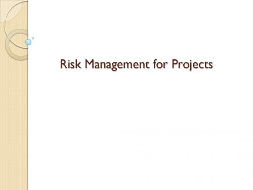 Risk Management for Projects